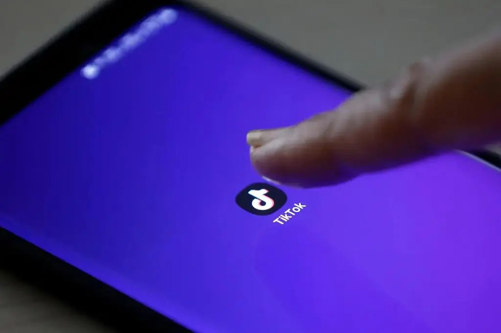TikTok icon