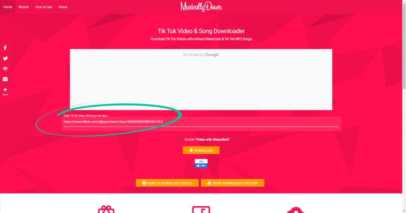 Video with Watermark